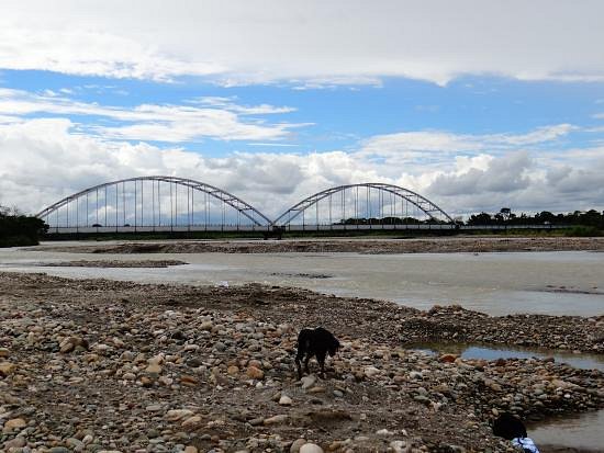 Puente El Alcaravan image