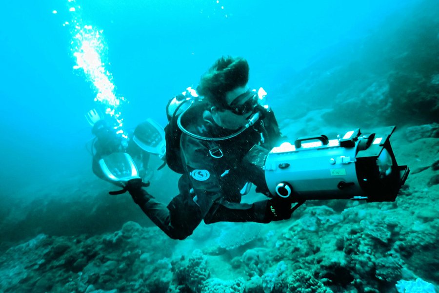 Pisces Diving Charter image