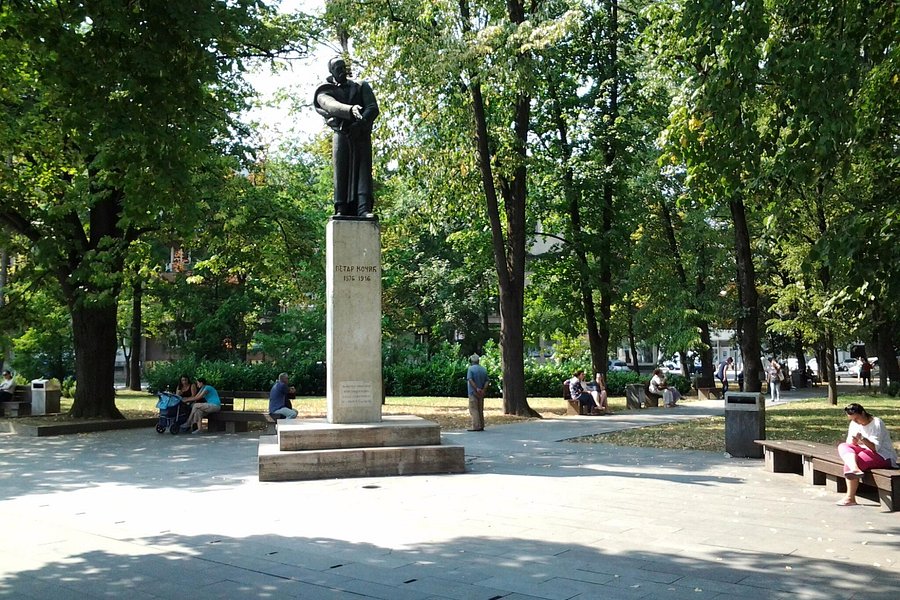 Petar Kocic Park image