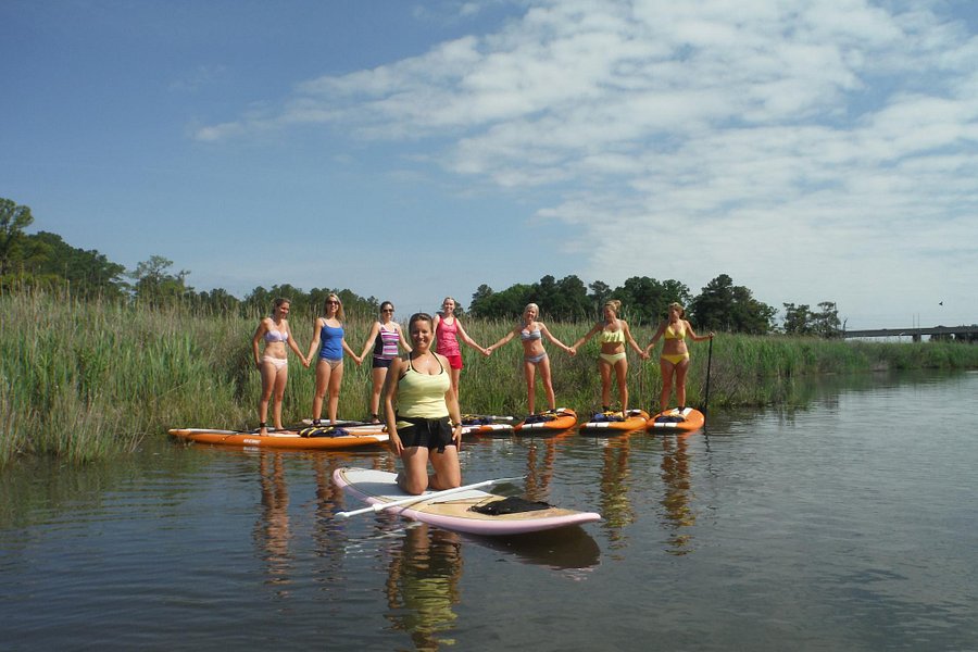 Dragonfly Paddle and Fitness image