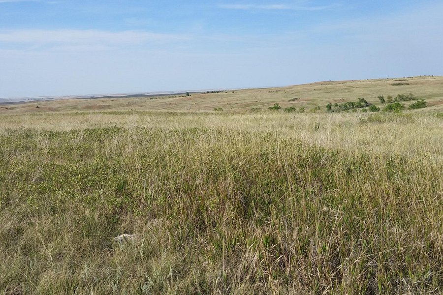 Little Missouri National Grassland image