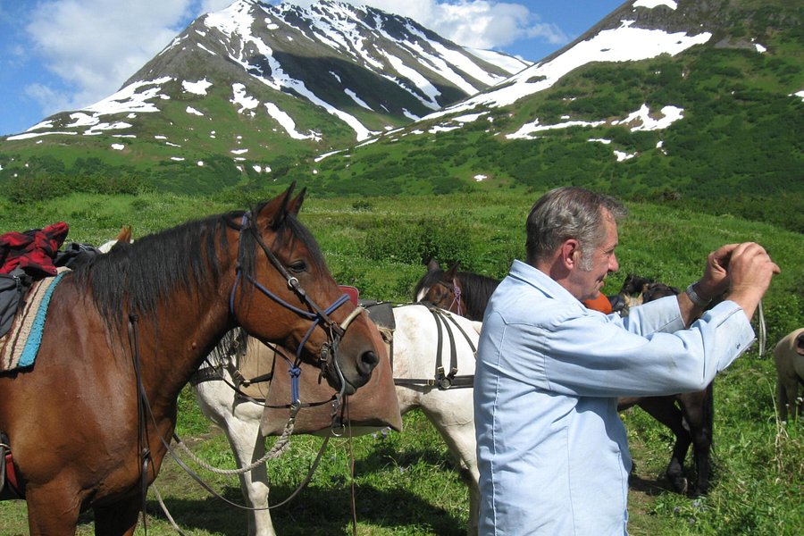 Alaska Horsemen Trail Adventures image