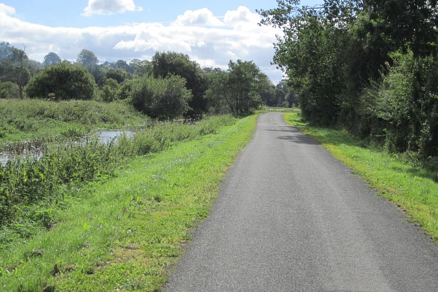 Newry Canal Towpath image