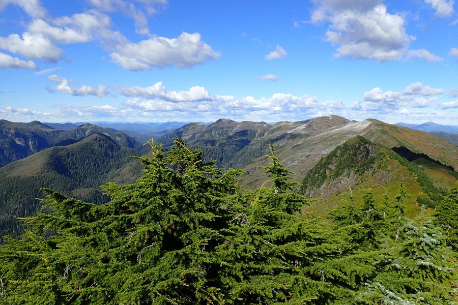 Deer Mountain Trail image