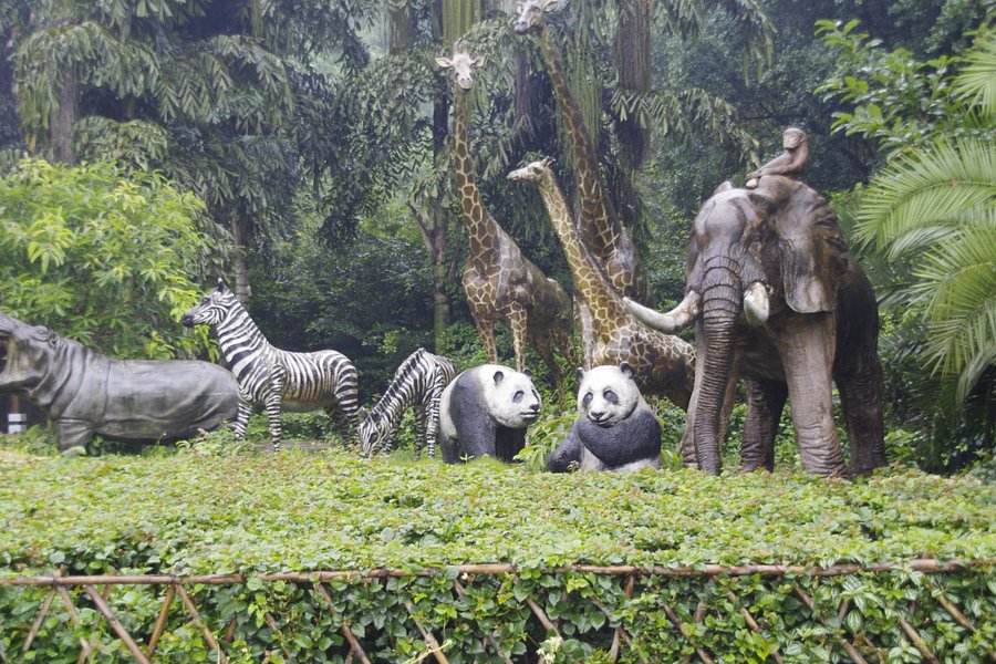 Chongqing Zoo (Chongqing Dongwuyuan) image
