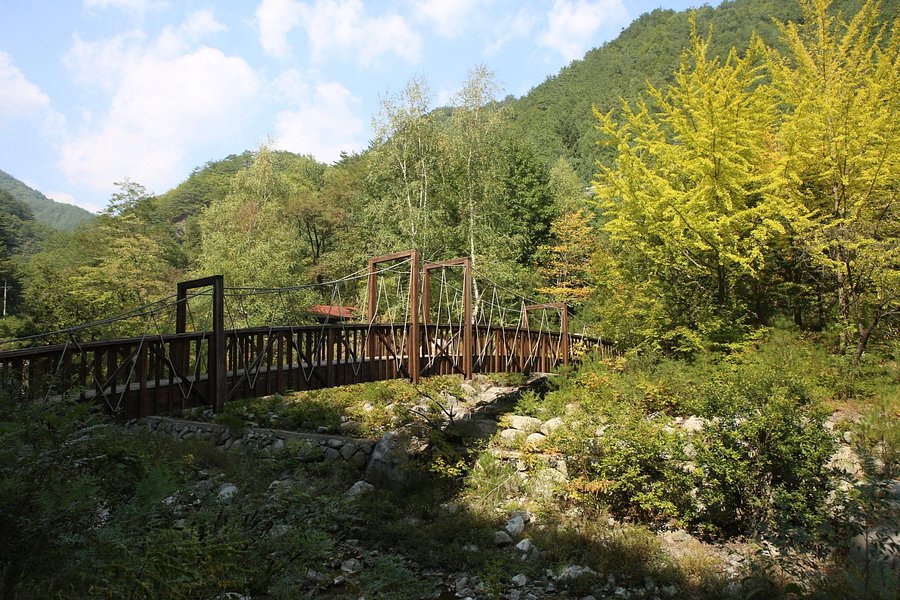 Gagok Natural Recreation Forest image