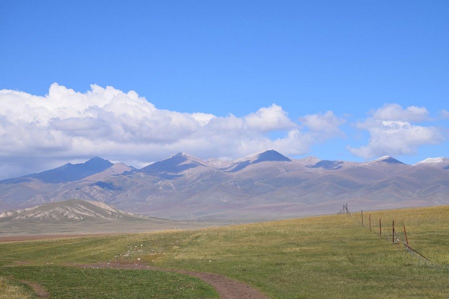 Bayinbuluke Prairie of Xinjiang Uygur image