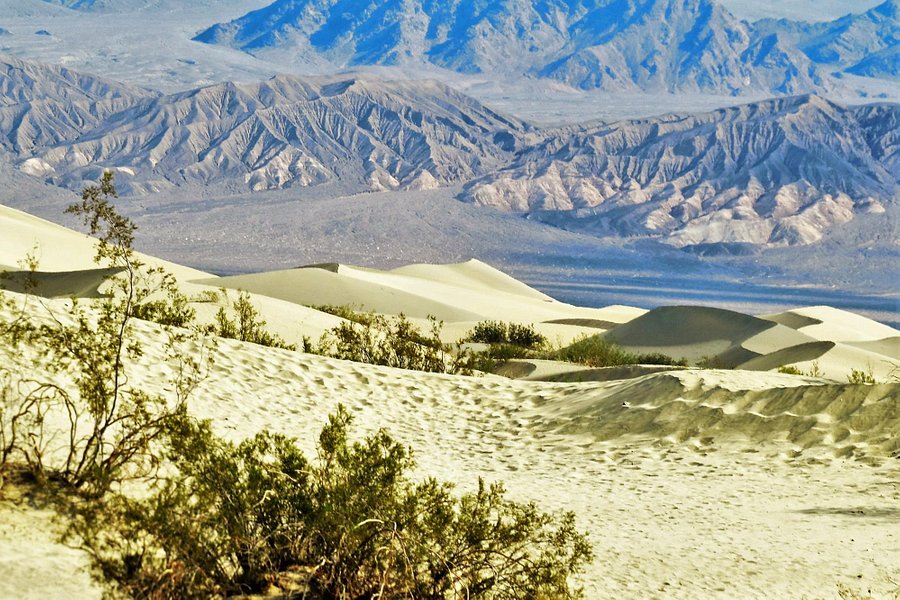 Mesquite Flat Sand Dunes image