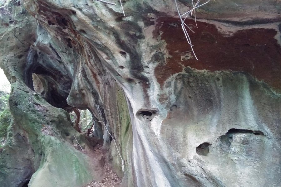 Cuevas de Andina image
