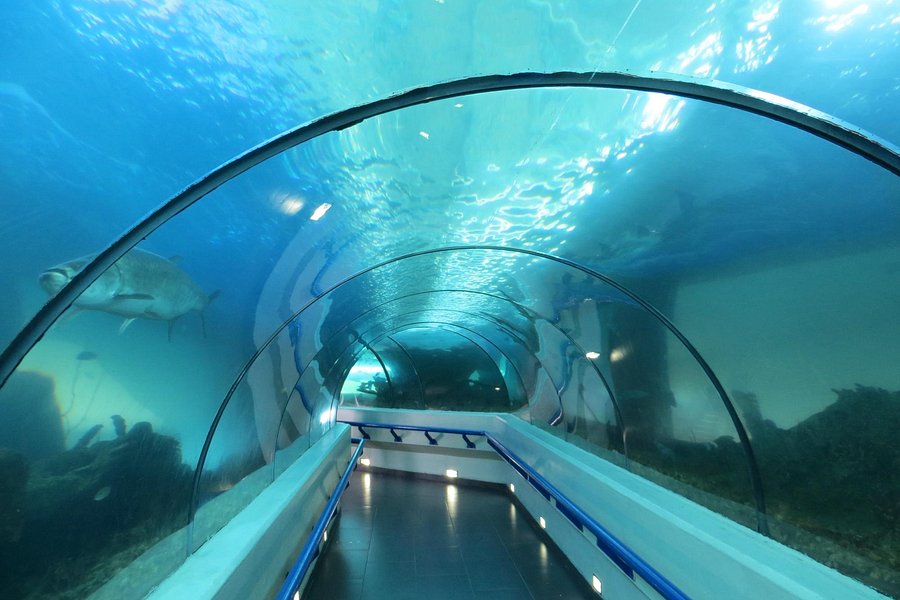 National Aquarium image
