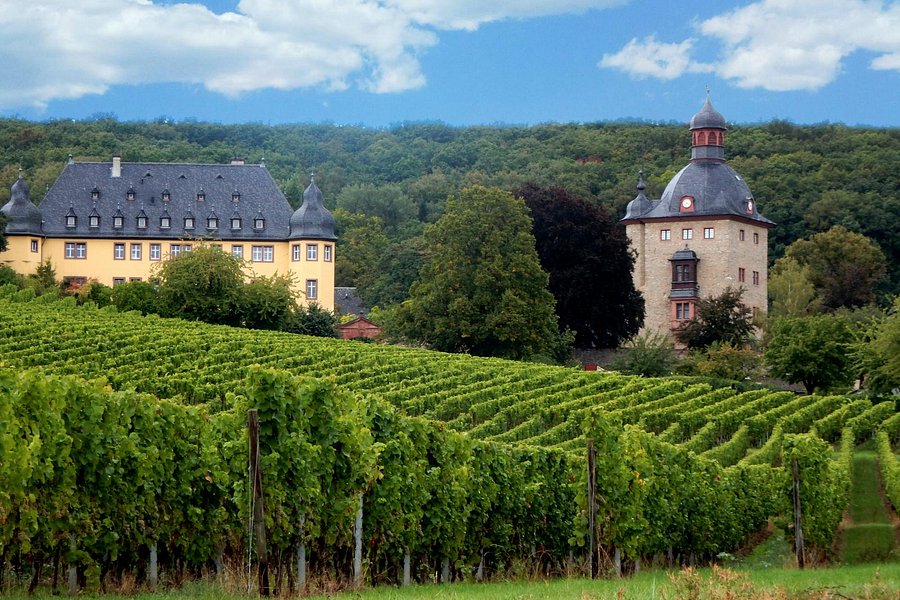 Weingut Schloss Vollrads image