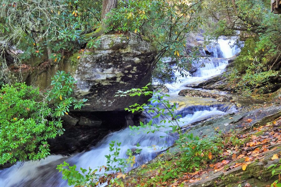 Dukes Creek Falls Trail image