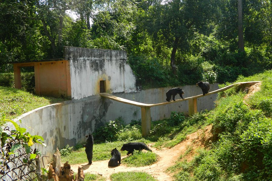 Sepahijala Wildlife Sanctuary image