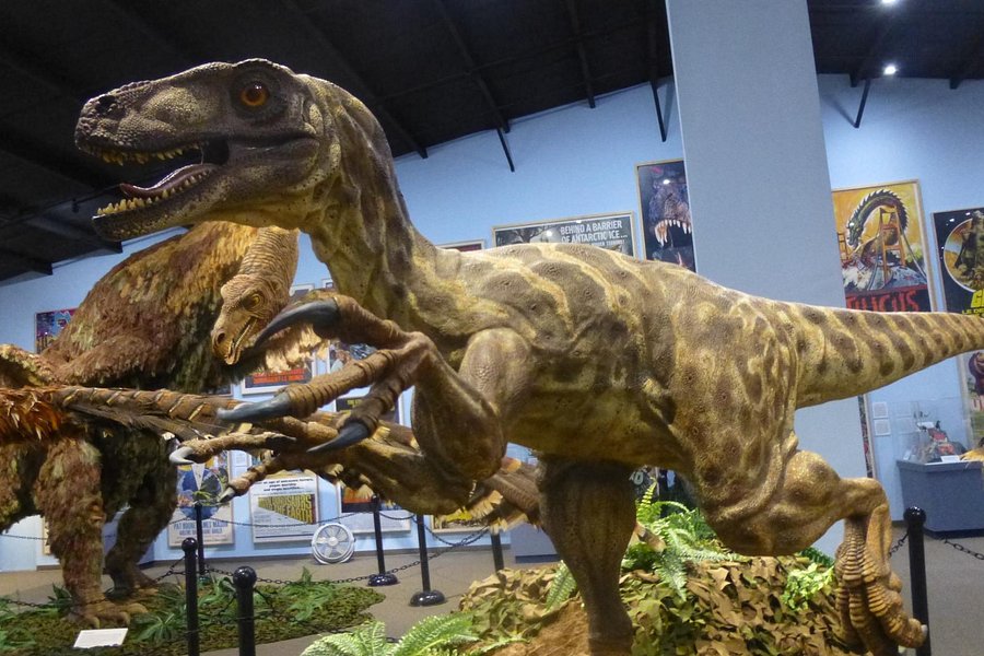 The Dinosaur Museum image