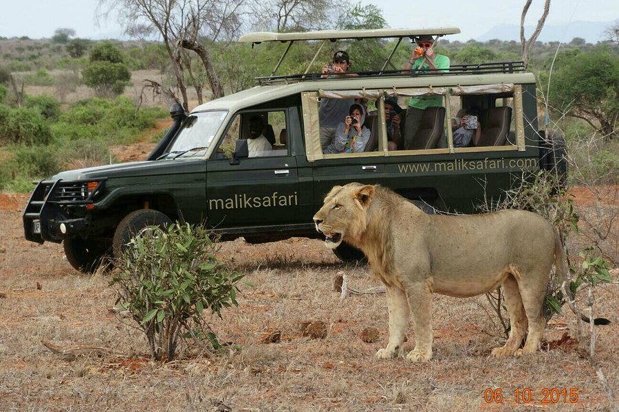 Malik Safari image