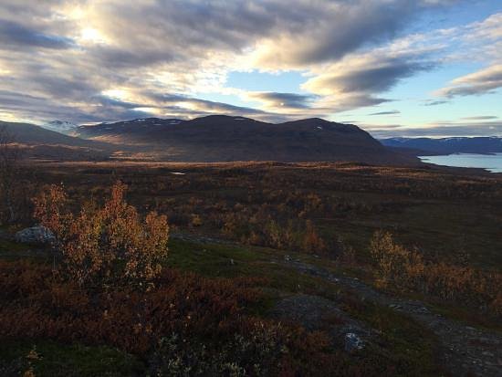 Abisko Guide - Day Tours image