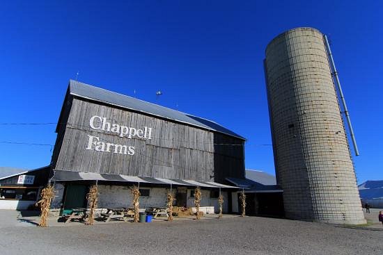 Chappell Farms image