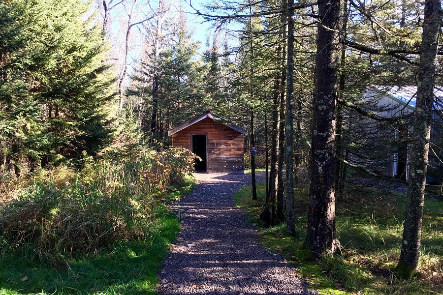Tom's Historic Logging Camp image