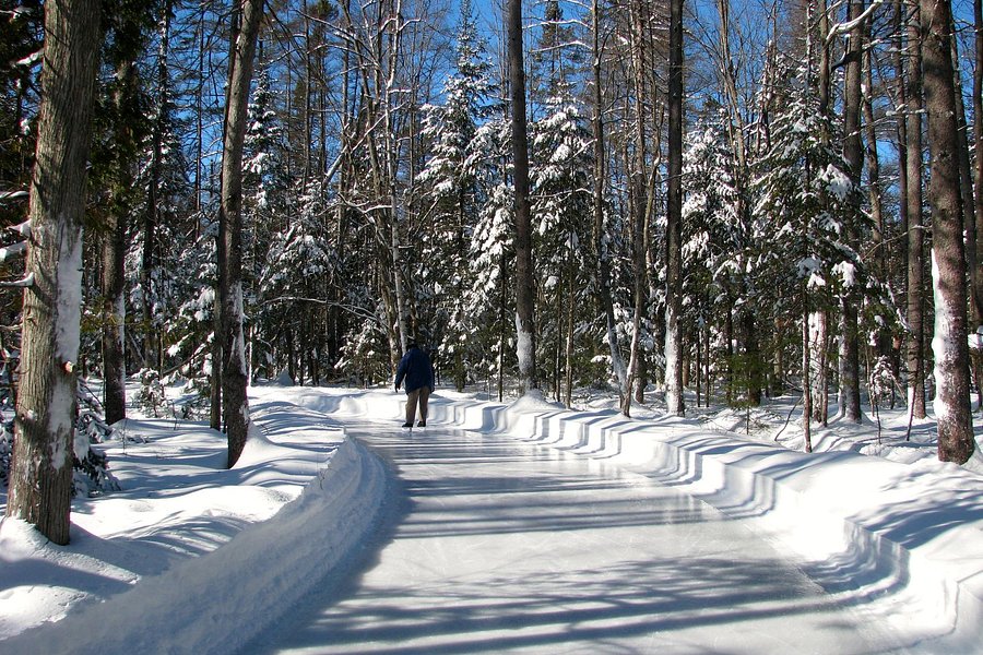 Parc John-H. Molson Outdoor Skating Rink image