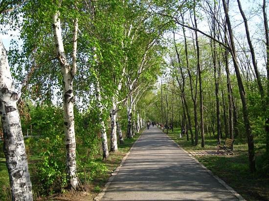 Harbin Forest Park image