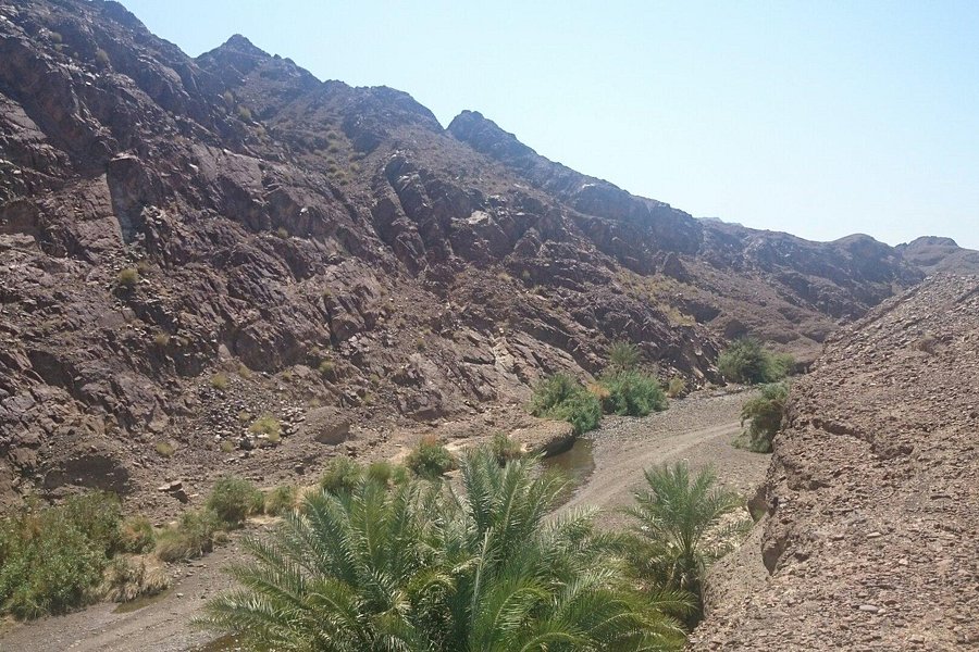 Wadi Al Qahfi image