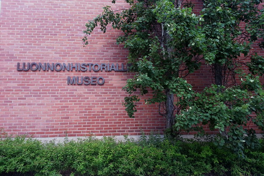 Forssa Museum of Natural History image