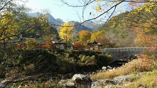 Mungyeong Saejae Provincial Park image