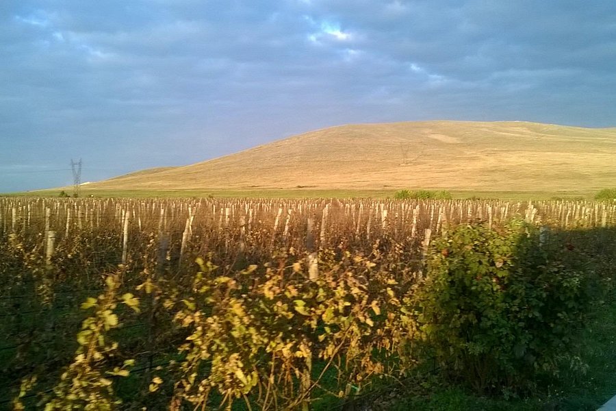 Bessa Valley Winery, image