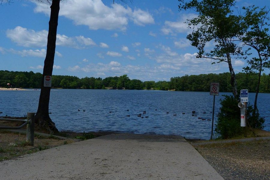 5 Mile Pond image