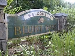 Blunt Park image