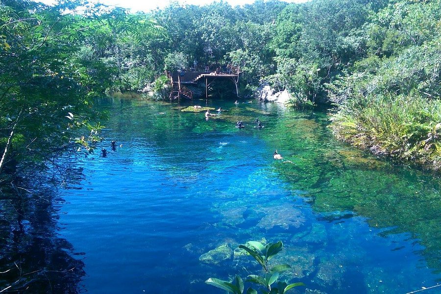 Cenote Jardín del Eden image