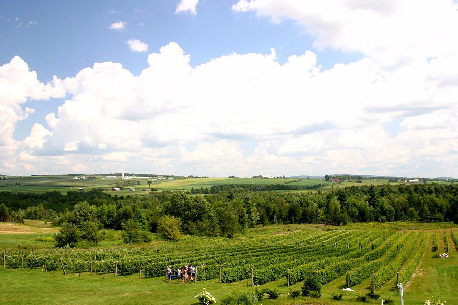 Vignoble Les Côtes du Gavet image