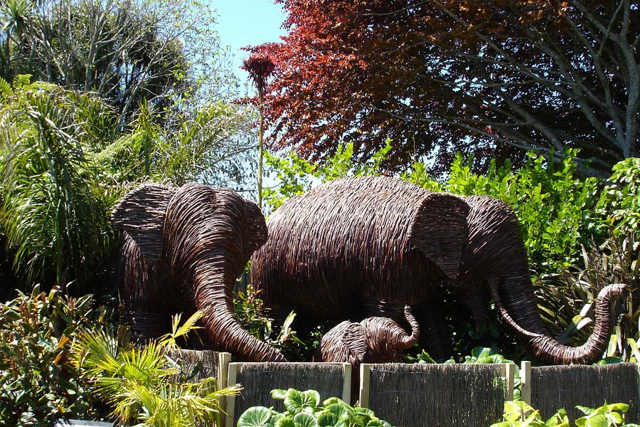 Brooklands Zoo image