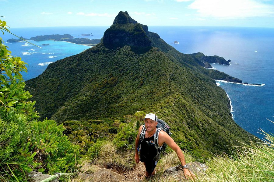 Lord Howe Environmental Tours image