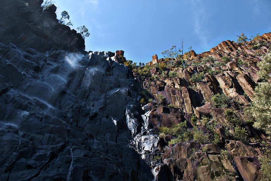 Pelverata Falls Track image