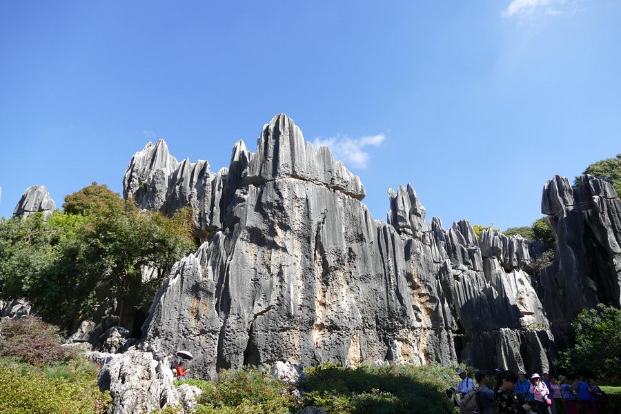 Grand Stone Forest image