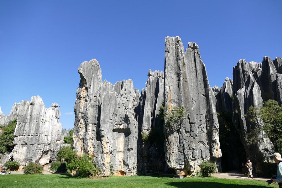 Small Stone Forest image