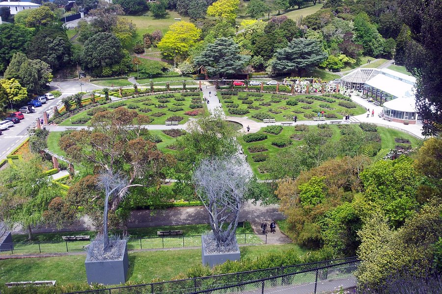 Wellington Botanic Garden image