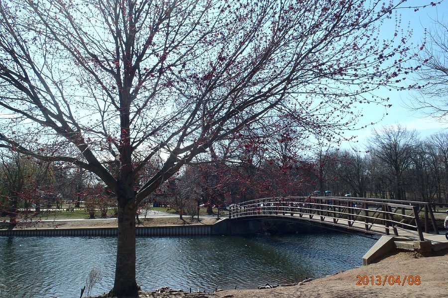 Roosevelt Park image