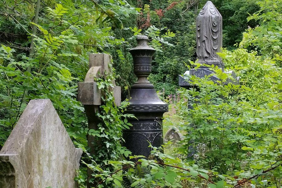 Arnos Vale Cemetery image