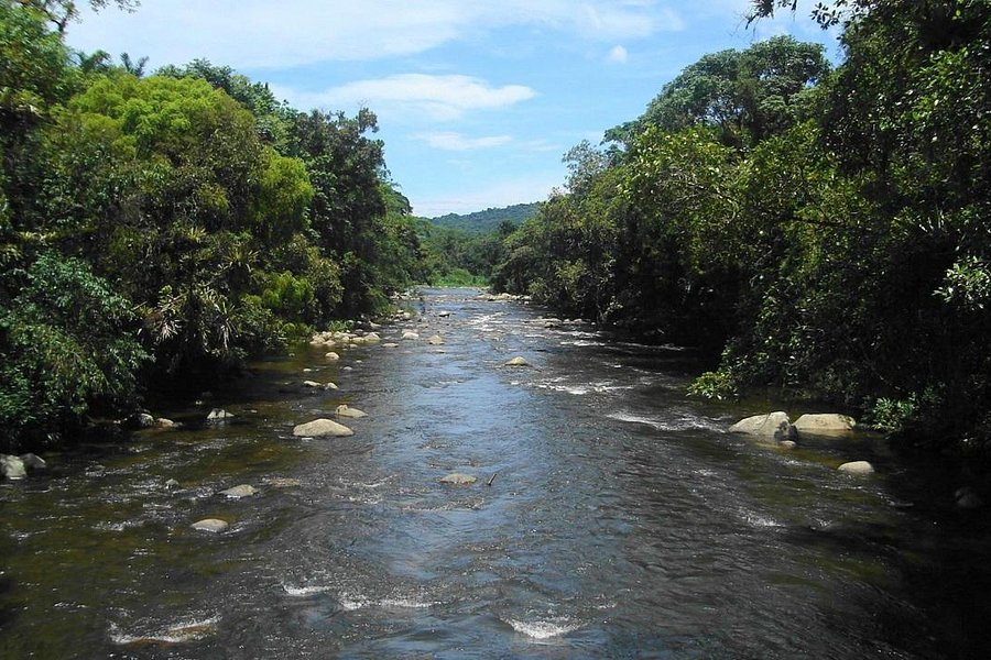 Cachoeira River image