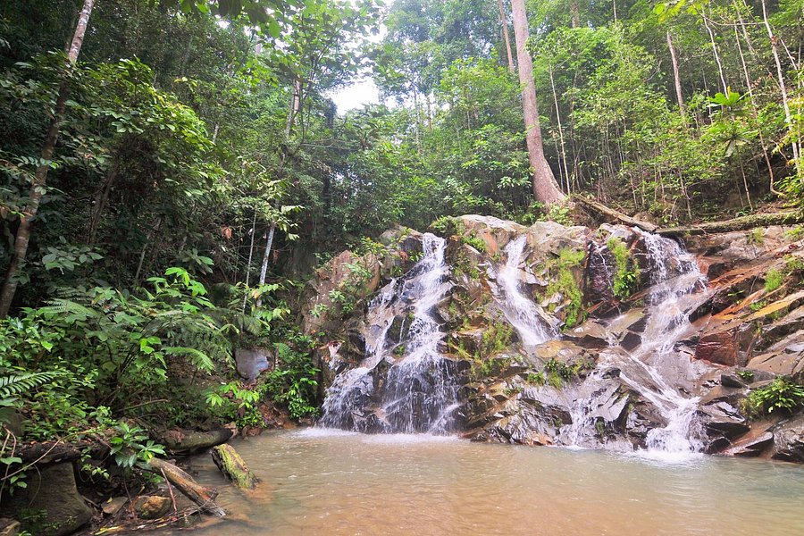 Pulai Waterfall image