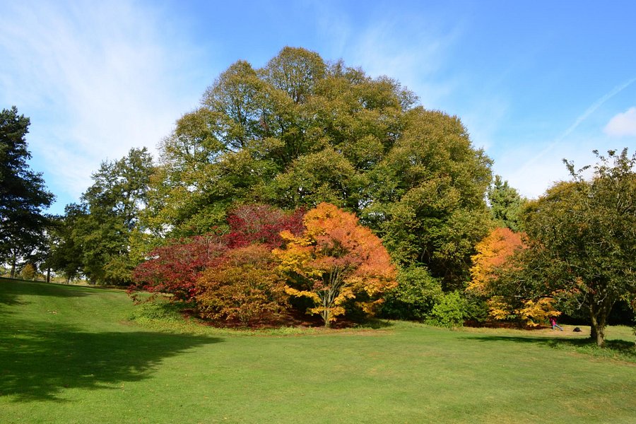 Batsford Arboretum image