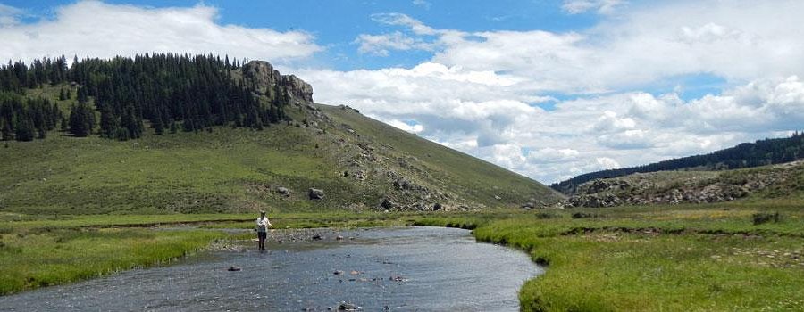 Land of Enchantment Guides - Fly Fishing Trips image