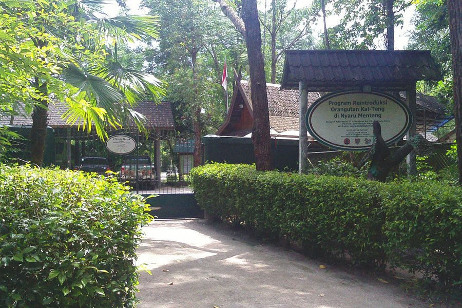 Kawasan Arboretum Nyaru Menteng image