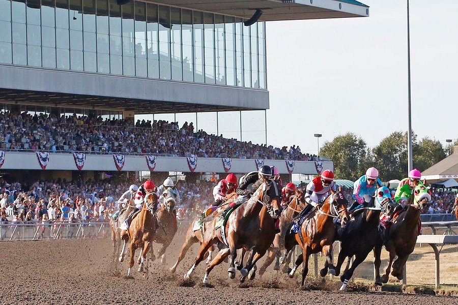 Emerald Downs image