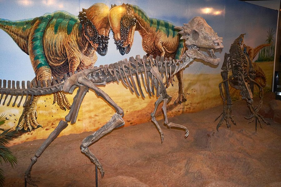 Sirindhorn Museum and Phu Kum Khao Dinosaur Excavation Site image