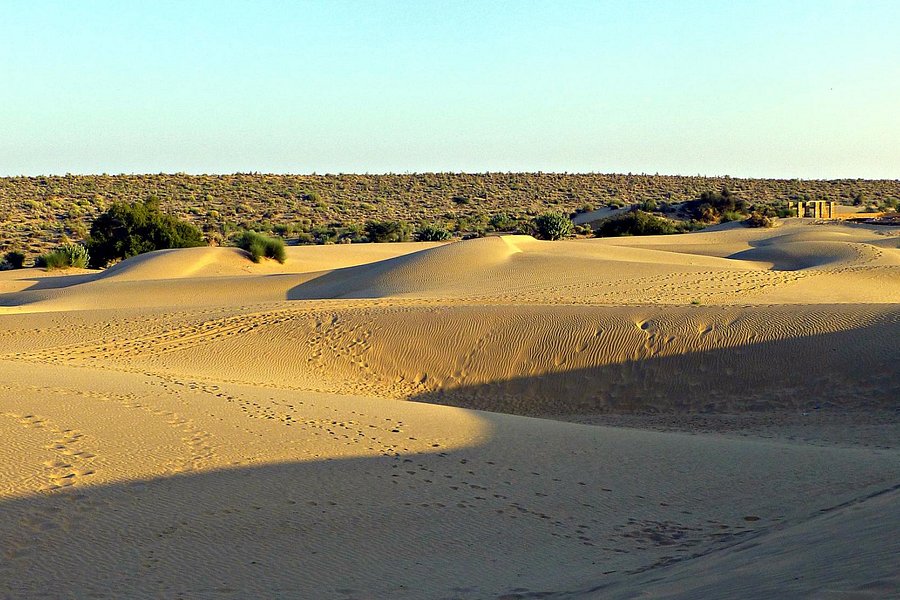 Desert National Park image