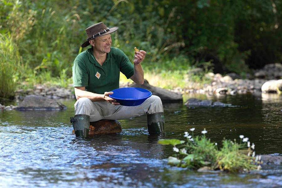 Goldpanning in Adelfors image