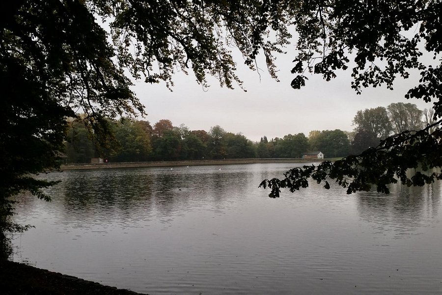 Coate Water Country Park image